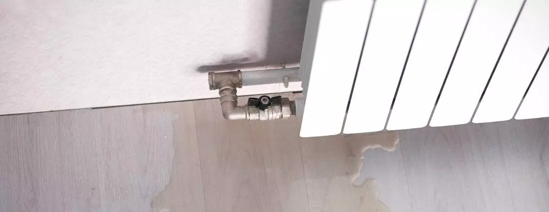 Lekdetectie dakkapel